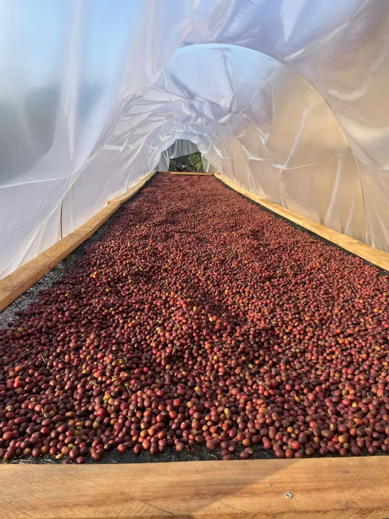 AnyConv.com__WhatsApp Image 2025-10-02 at 14.36.34