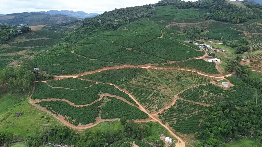 AnyConv.com__WhatsApp Image 2025-10-02 at 14.36.35