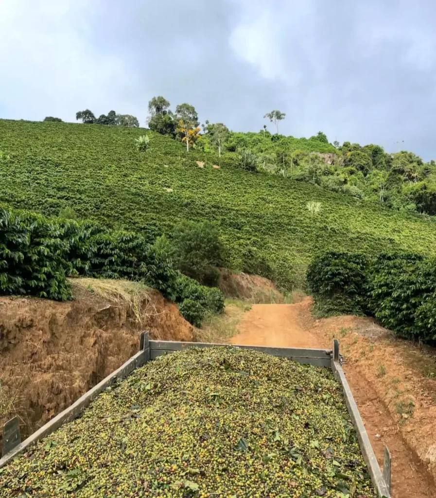 AnyConv.com__WhatsApp Image 2025-11-06 at 22.03.22