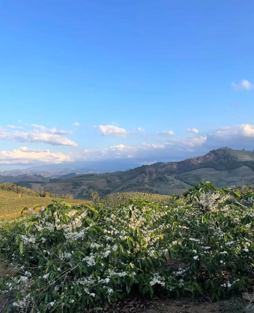 AnyConv.com__WhatsApp Image 2025-11-06 at 22.03.49